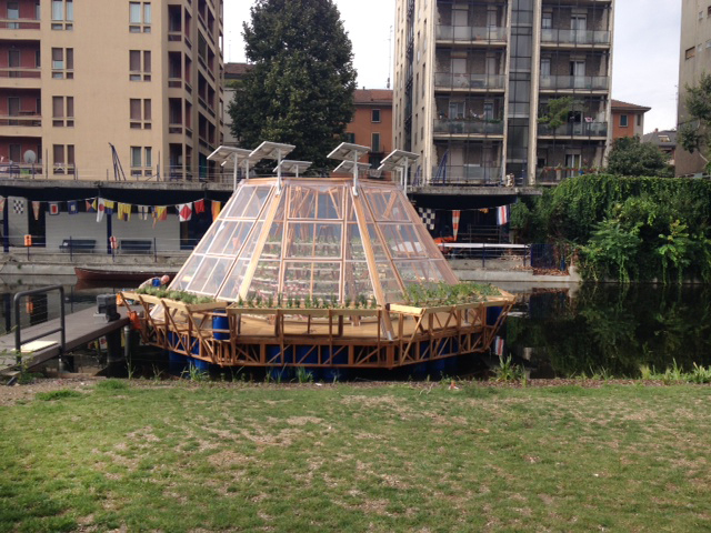 Serra Jellyfish
