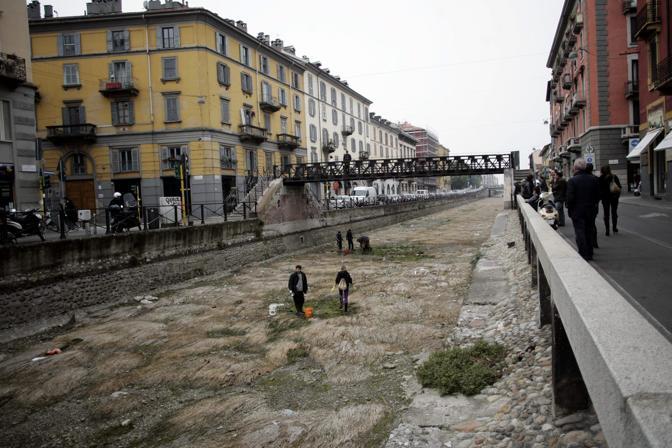 MILANO 16 Ott 2010 - ASSOCIAZIONI AMBIENTALISTE E VOLONTARI SALVANO I PESCI RIMASTI PRIGIONIERI DOPO LA SECCA INVERNALE DEL NAVIGLIO GALLI p.s. la foto e' utilizzabile nel rispetto del contesto in cui e' stata scattata, e senza intento diffamatorio del decoro delle persone rappresentate - MILANO 2010-10-16 ASSOCIAZIONI AMBIENTALISTE E VOLONTARI SALVANO I PESCI RIMASTI PRIGIONIERI DOPO LA SECCA INVERNALE DEL NAVIGLIO ASSOCIAZIONI AMBIENTALISTE E VOLONTARI SALVANO I PESCI RIMASTI PRIGIONIERI DOPO LA SECCA INVERNALE DEL NAVIGLIO ASSOCIAZIONI,NAVIGLI,VOLONTARI,NAVIGLIO GRANDE - fotografo: Marco Dona / Fotogramma / Fotogramma