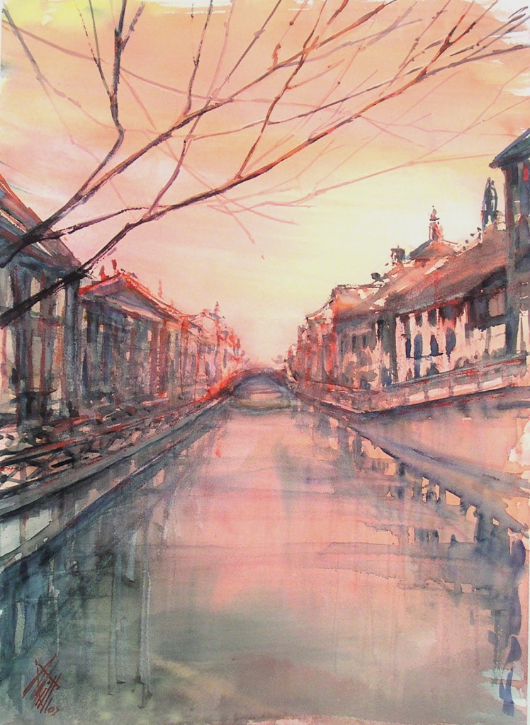 12 NAVIGLIO ROSA