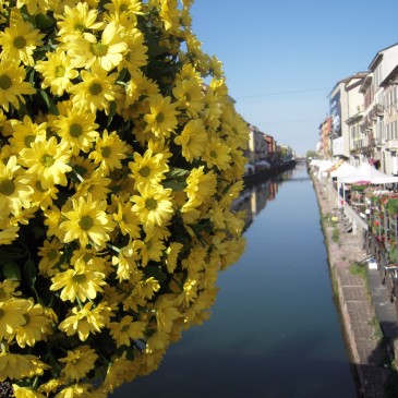 “Fiori e Sapori sul Naviglio Grande”: Le foto e i nomi degli espositori premiati.