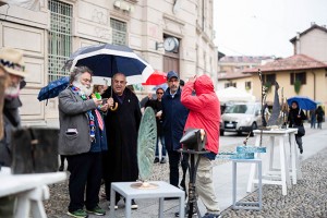 IMG_5533