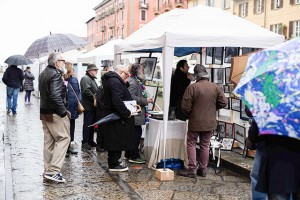 IMG_5874