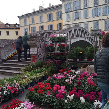 Fiori e sapori d’autunno sul Naviglio Grande, domenica 11 ottobre 2020